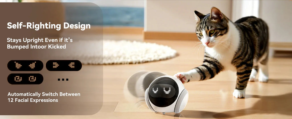 Pet Robot Camera | Indoor Movable with Auto-Recharge,2-Way Audio,Night Vision,Smart App Control,Cats/Dogs/Baby/Elderly